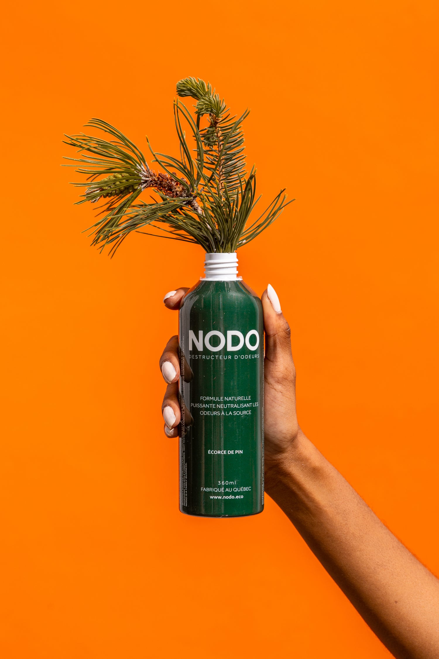 Neutralisant d'odeurs en spray à l'arôme d'écorce de pin tenu par une main avec de vraies branches de pin qui sortent de la bouteille