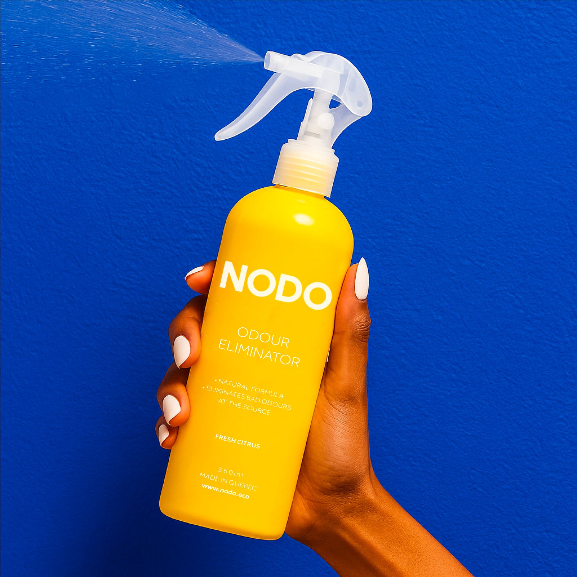 Mold and Mildew Odour Neutralizer