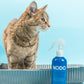 Chat dans une litière avec une bouteille de neutralisant d'odeurs NODO à l'arôme de vent marin